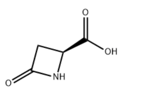 2-Azetidinecarboxylicacid，16404-94-7