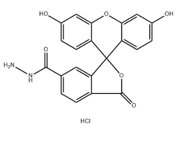 2183440-65-3，FAM hydrazide, 6-isomer，（FAM）