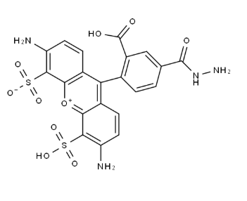 AF488 hydrazide，2500973-94-2