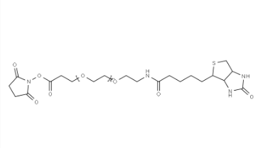 Biotin-PEG24-NHS（365441-71-0）