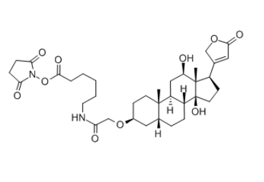 Digoxigenin-NHS，129273-26-3，地高辛活性酯