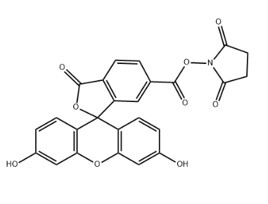 6-FAM NHS（92557-81-8），羧基荧光素活性酯