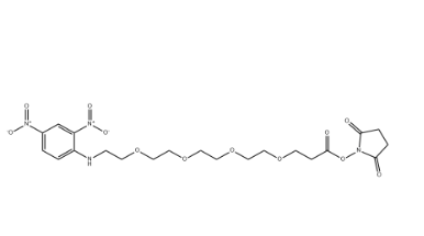 DNP-PEG4-NHS（858126-78-0）