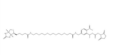 2055198-03-1(PC-Biotin PEG4 NHS carbonate)