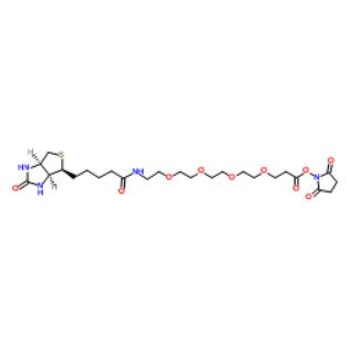 Biotin PEG4 NHS（459426-22-3）