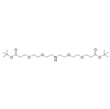 NH-bis(PEG2-t-butyl ester)，1964503-36-3
