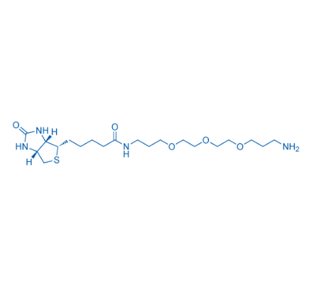183896-00-6，Biotin PEG3 C3 NH2