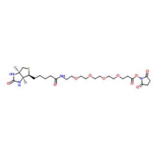 Biotin-PEG4-NHS ester，459426-22-3