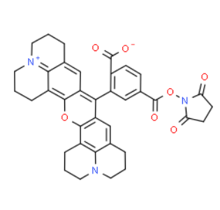 117491-83-5，6-Rhodamine X NHS