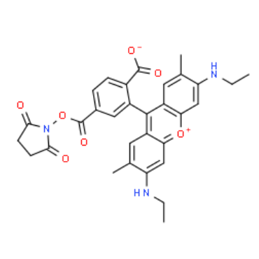 6-Rhodamine 6G NHS，216699-37-5