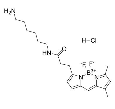 2183473-03-0，BODIPY FL amine