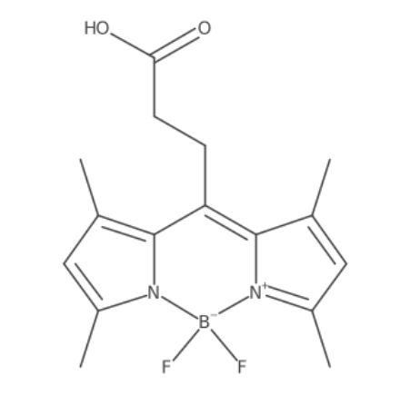 BODIPY 493/503 acid,216961-95-4