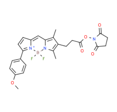 485397-12-4，BODIPY TMR NHS，胺反应性NHS酯