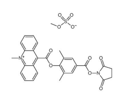 DMAE-NHS ester（115853-74-2）吖啶活性酯