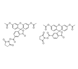 (5,6)-FAM&nbsp;diacetate&nbsp;NHS，150347-59-4
