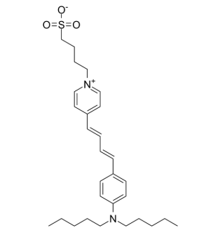 107610-19-5，RH421膜电位荧光探针