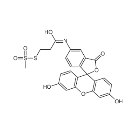 MTS-4-Fluorescein（CAS号：351330-42-2）