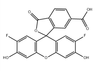 195136-53-9，6-OG 488-COOH
