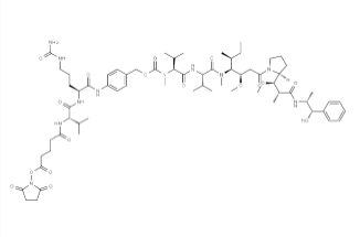 SuO-Glu-Val-Cit-PAB-MMAE（CAS号：1895916-24-1）