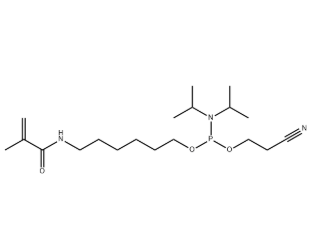 Methacrylate C6 Amidite,1226983-36-3