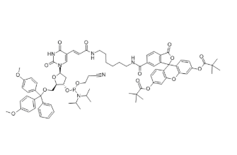 Fluorescein dT Phosphoramidite，289712-99-8