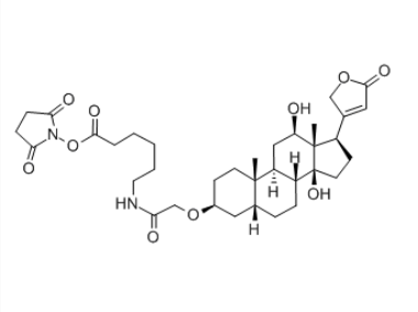 Digoxigenin&nbsp;Succinimidyl Ester（地高辛活性酯，CAS号129273-26-3）