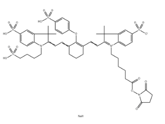 IRDye&nbsp;800&nbsp;NHS ester，956579-01-4