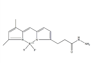BDP FL hydrazide，178388-71-1