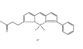 BODIPY R6G acid，174881-57-3