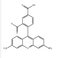 5(6)-Carboxyrhodamine 110,116763-35-0