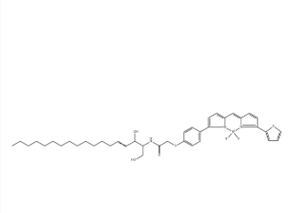 BODIPY TR Ceramide，571186-05-5