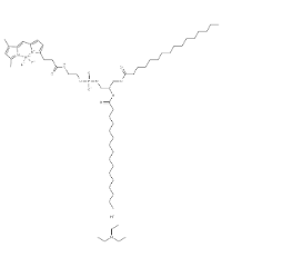 BDP FL-DHPE，217075-07-5