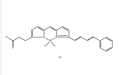BODIPY 581/591 COOH，480999-04-0