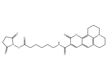 AF 343 X NHS ester，946123-12-2