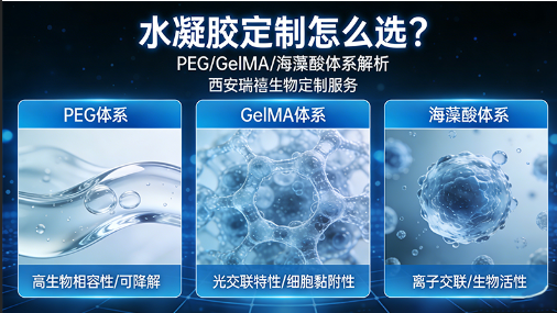 水凝胶定制